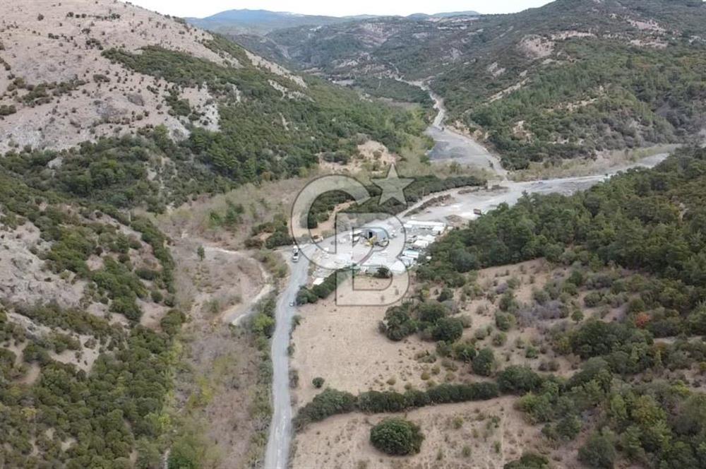 ÇANAKKALE MERKEZ HALİLOĞLU KÖYÜNDE YOLA CEPHELİ 8 DÖNÜM SATILIK TARLA