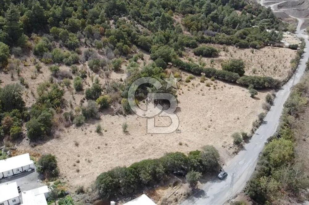 ÇANAKKALE MERKEZ HALİLOĞLU KÖYÜNDE YOLA CEPHELİ 8 DÖNÜM SATILIK TARLA