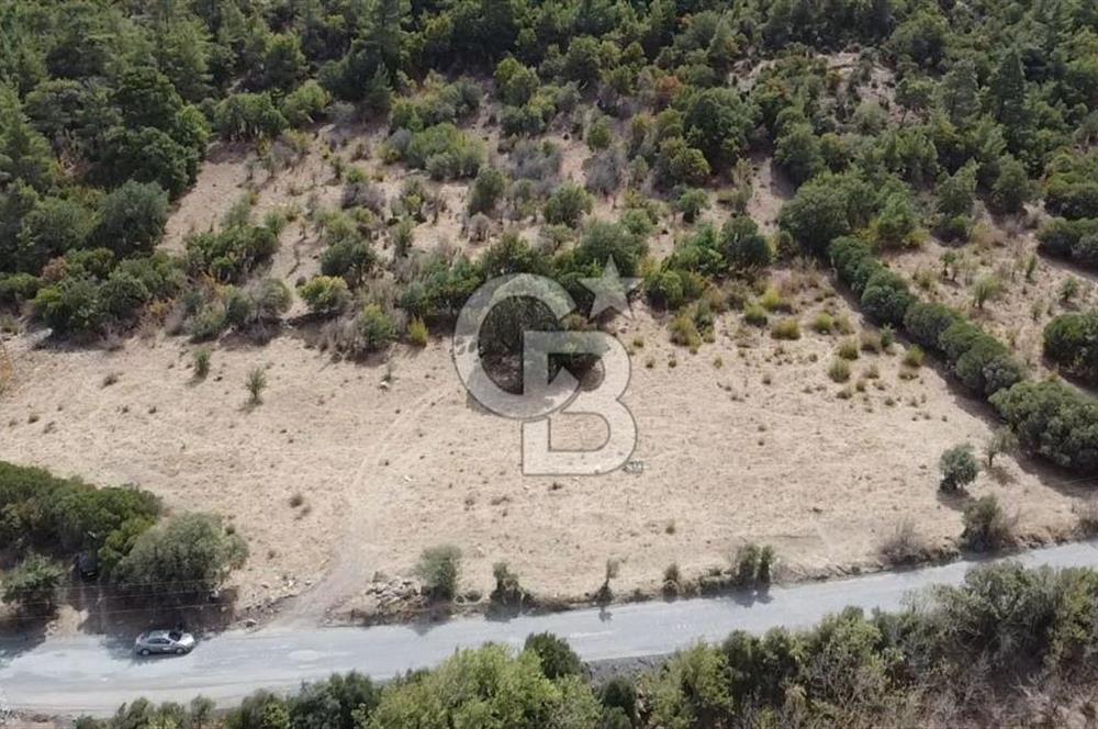 ÇANAKKALE MERKEZ HALİLOĞLU KÖYÜNDE YOLA CEPHELİ 8 DÖNÜM SATILIK TARLA