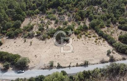 ÇANAKKALE MERKEZ HALİLOĞLU KÖYÜNDE YOLA CEPHELİ 8 DÖNÜM SATILIK TARLA