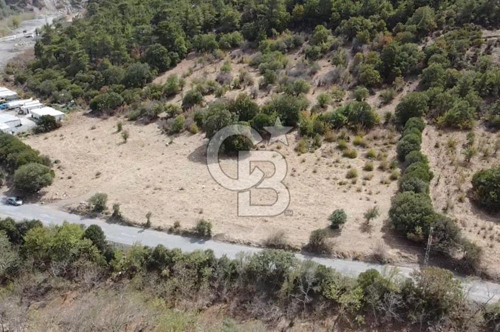 ÇANAKKALE MERKEZ HALİLOĞLU KÖYÜNDE YOLA CEPHELİ 8 DÖNÜM SATILIK TARLA