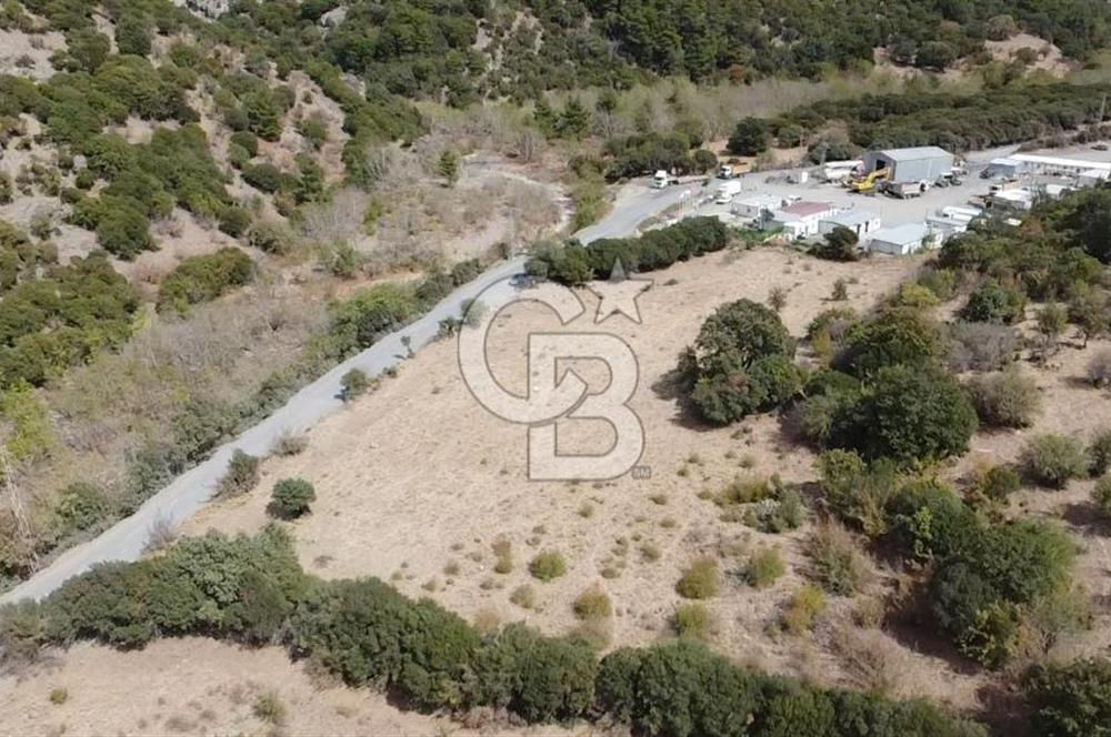 ÇANAKKALE MERKEZ HALİLOĞLU KÖYÜNDE YOLA CEPHELİ 8 DÖNÜM SATILIK TARLA