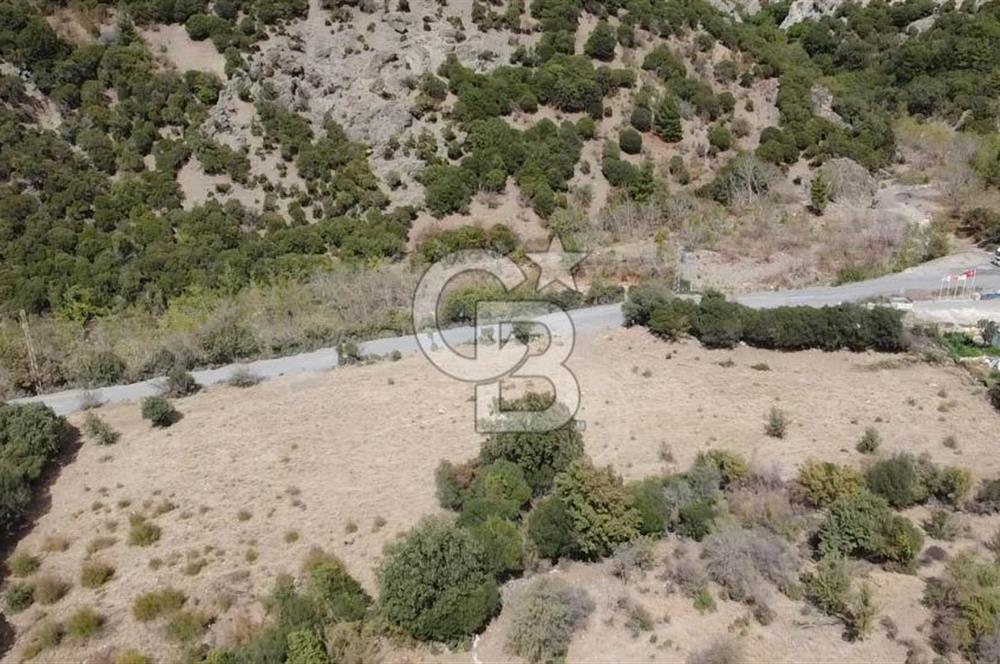ÇANAKKALE MERKEZ HALİLOĞLU KÖYÜNDE YOLA CEPHELİ 8 DÖNÜM SATILIK TARLA