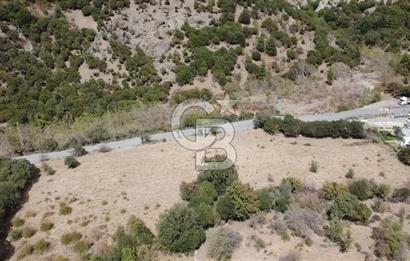 ÇANAKKALE MERKEZ HALİLOĞLU KÖYÜNDE YOLA CEPHELİ 8 DÖNÜM SATILIK TARLA