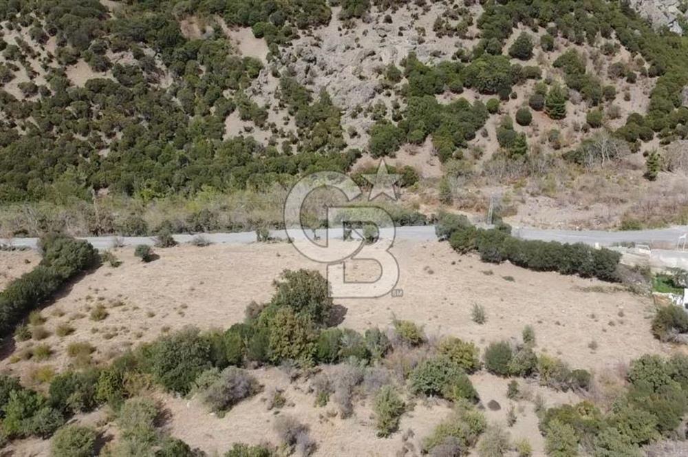 ÇANAKKALE MERKEZ HALİLOĞLU KÖYÜNDE YOLA CEPHELİ 8 DÖNÜM SATILIK TARLA