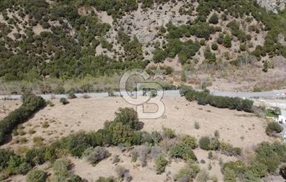 ÇANAKKALE MERKEZ HALİLOĞLU KÖYÜNDE YOLA CEPHELİ 8 DÖNÜM SATILIK TARLA