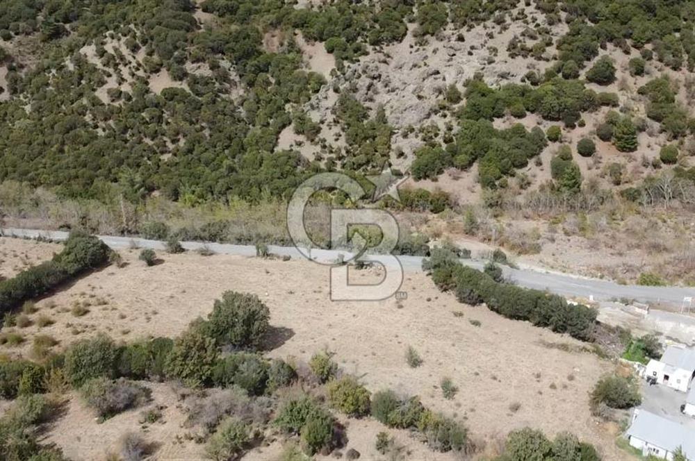 ÇANAKKALE MERKEZ HALİLOĞLU KÖYÜNDE YOLA CEPHELİ 8 DÖNÜM SATILIK TARLA