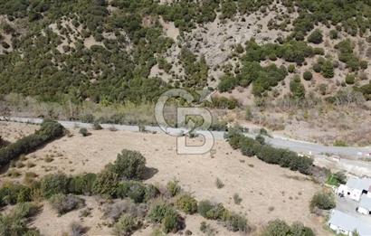 ÇANAKKALE MERKEZ HALİLOĞLU KÖYÜNDE YOLA CEPHELİ 8 DÖNÜM SATILIK TARLA