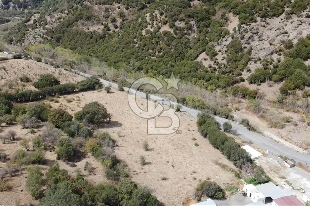 ÇANAKKALE MERKEZ HALİLOĞLU KÖYÜNDE YOLA CEPHELİ 8 DÖNÜM SATILIK TARLA