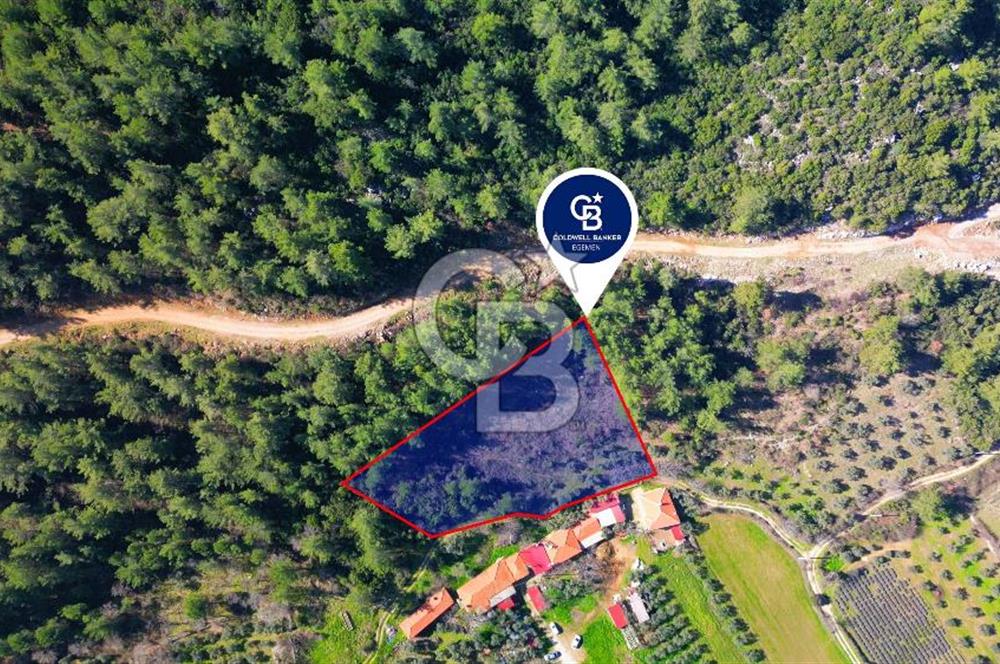 Muğla Yenice‘de imara yakınsatılık tarla