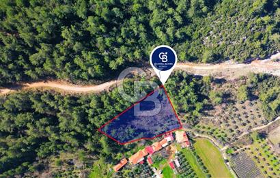 Muğla Yenice‘de imara yakınsatılık tarla