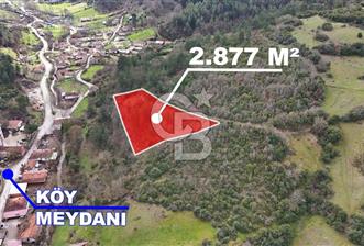 ÇANAKKALE YENİCE AŞAĞIKARAAŞIK KÖY İÇİNDE 2.877 m² SATILIK ARSA - 9 - 336556