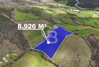 ÇANAKKALE YENİCE AŞAĞIKARAAŞIK KÖYÜNDE 8.926 m² SATILIK TARLA - 8 - 336557