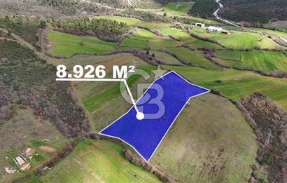 ÇANAKKALE YENİCE AŞAĞIKARAAŞIK KÖYÜNDE 8.926 m² SATILIK TARLA