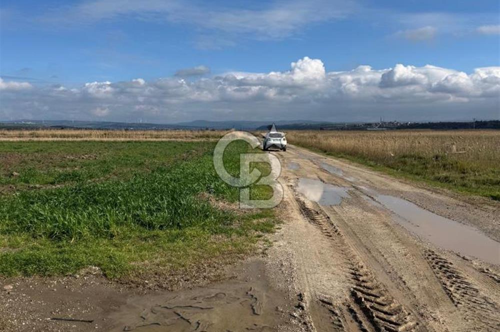 ÇANAKKALE MERKEZ TEVFİKİYE KÖYÜNDE TROYA ANTİK KENTE KOMŞU SATILIK TARLA 