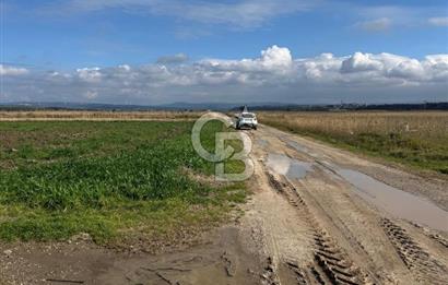 ÇANAKKALE MERKEZ TEVFİKİYE KÖYÜNDE TROYA ANTİK KENTE KOMŞU SATILIK TARLA 