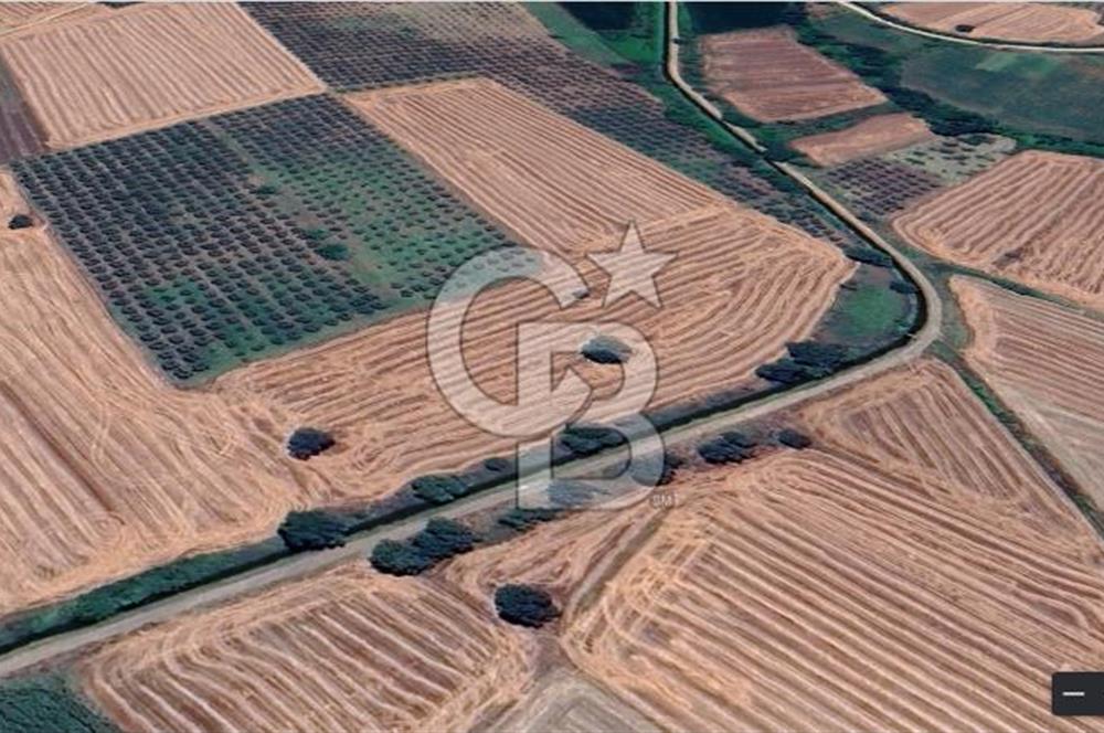 Nilüfer Başköy'de 13.704 m² Satılık Tarla - Yatırım Fırsatı!