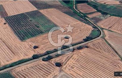 Nilüfer Başköy'de 13.704 m² Satılık Tarla - Yatırım Fırsatı!