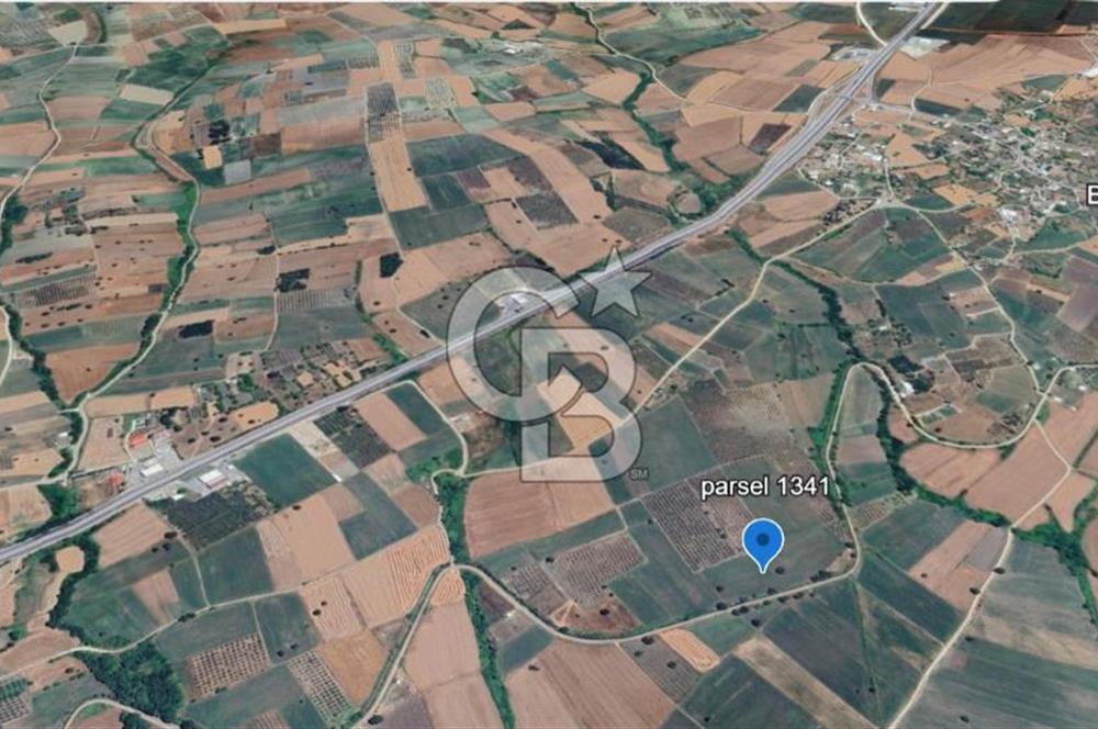 Nilüfer Başköy'de 13.704 m² Satılık Tarla - Yatırım Fırsatı!