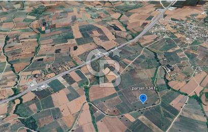 Nilüfer Başköy'de 13.704 m² Satılık Tarla - Yatırım Fırsatı!