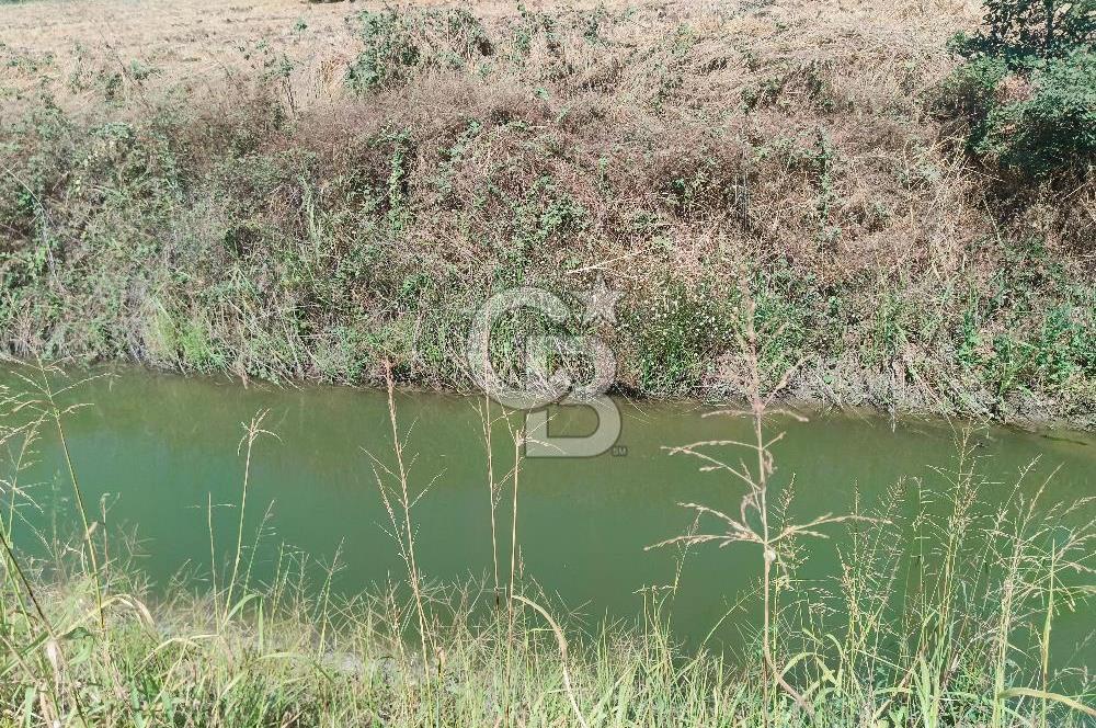 Nilüfer Başköy'de 13.704 m² Satılık Tarla - Yatırım Fırsatı!