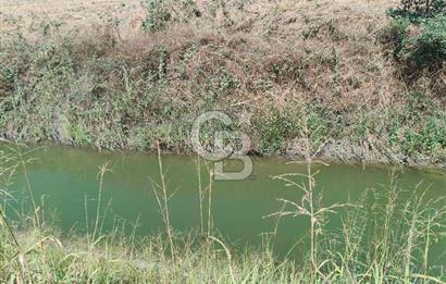 Nilüfer Başköy'de 13.704 m² Satılık Tarla - Yatırım Fırsatı!