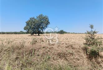 Nilüfer Başköy'de 13.704 m² Satılık Tarla - Yatırım Fırsatı! - 7 - 336600