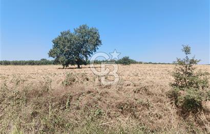 Nilüfer Başköy'de 13.704 m² Satılık Tarla - Yatırım Fırsatı!