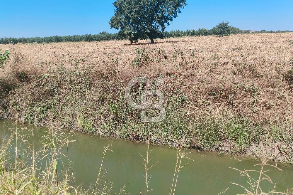 Nilüfer Başköy'de 13.704 m² Satılık Tarla - Yatırım Fırsatı!