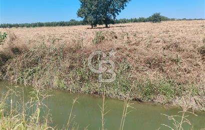 Nilüfer Başköy'de 13.704 m² Satılık Tarla - Yatırım Fırsatı!