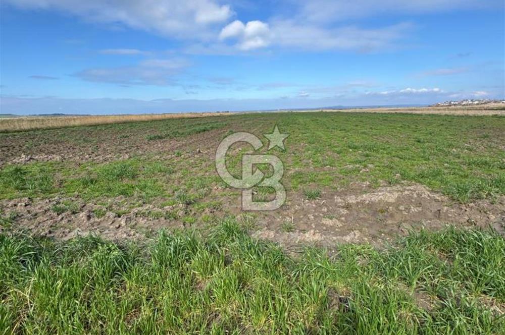 ÇANAKKALE MERKEZ TEVFİKİYE KÖYÜNDE TROYA ANTİK KENTE KOMŞU SATILIK TARLA 