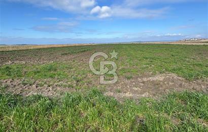 ÇANAKKALE MERKEZ TEVFİKİYE KÖYÜNDE TROYA ANTİK KENTE KOMŞU SATILIK TARLA 