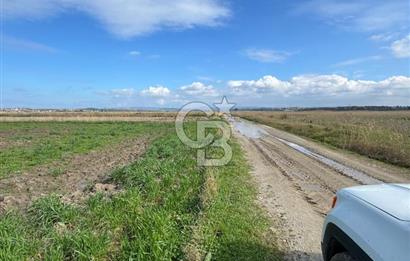 ÇANAKKALE MERKEZ TEVFİKİYE KÖYÜNDE TROYA ANTİK KENTE KOMŞU SATILIK TARLA 