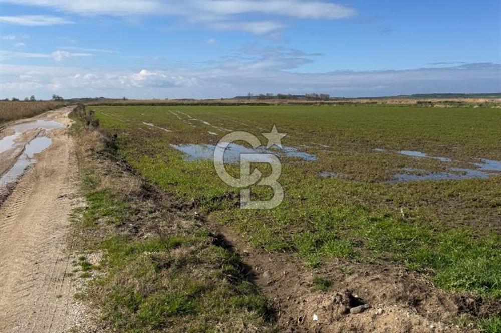 ÇANAKKALE TEVFİKİYE KÖYÜNDE YOLA CEPHE 1. SINIF SATILIK TARIM ARAZİSİ 