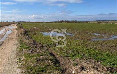 ÇANAKKALE TEVFİKİYE KÖYÜNDE YOLA CEPHE 1. SINIF SATILIK TARIM ARAZİSİ 