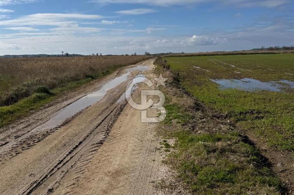 ÇANAKKALE MERKEZ TEVFİKİYE KÖYÜNDE TROYA ANTİK KENTE KOMŞU SATILIK TARLA 