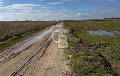 ÇANAKKALE MERKEZ TEVFİKİYE KÖYÜNDE TROYA ANTİK KENTE KOMŞU SATILIK TARLA 