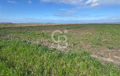 ÇANAKKALE MERKEZ TEVFİKİYE KÖYÜNDE TROYA ANTİK KENTE KOMŞU SATILIK TARLA 