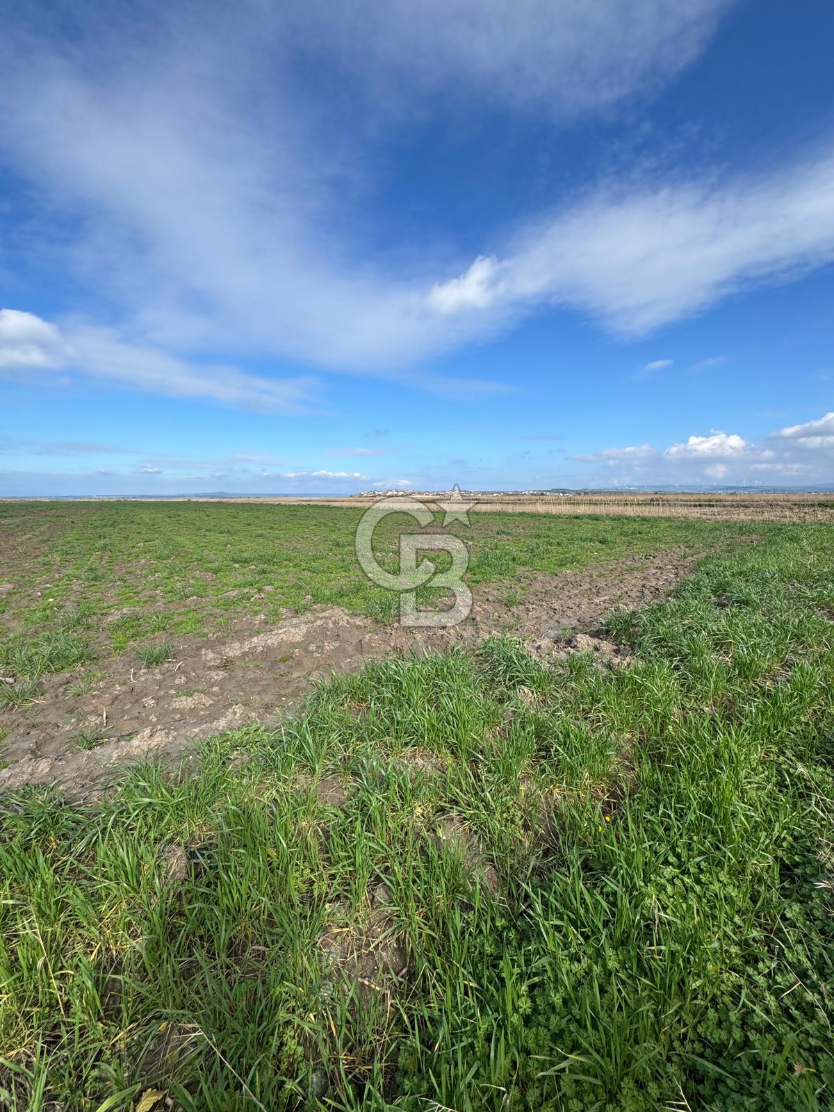 ÇANAKKALE TEVFİKİYE KÖYÜNDE YOLA CEPHE 1. SINIF SATILIK TARIM ARAZİSİ 