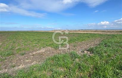 ÇANAKKALE TEVFİKİYE KÖYÜNDE YOLA CEPHE 1. SINIF SATILIK TARIM ARAZİSİ 