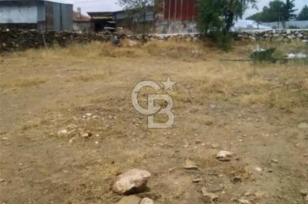 MANİSA KULA TATLIÇEŞME'DE GELENEKSEL YAŞAM VE YATIRIM FIRSATI