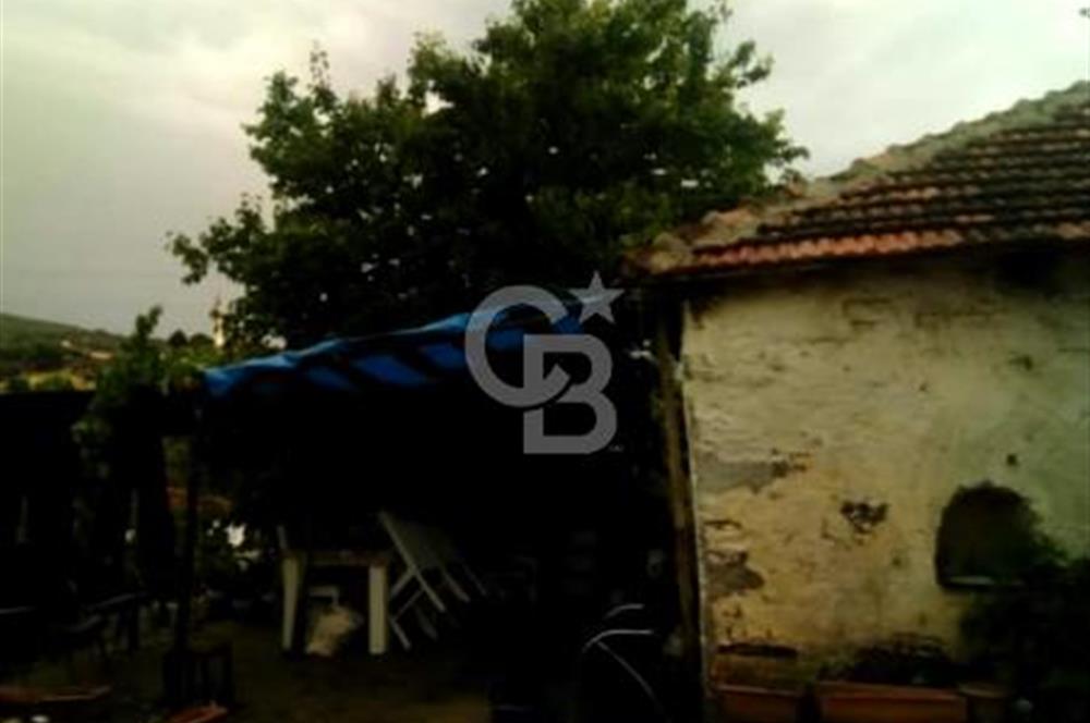 MANİSA KULA TATLIÇEŞME'DE GELENEKSEL YAŞAM VE YATIRIM FIRSATI