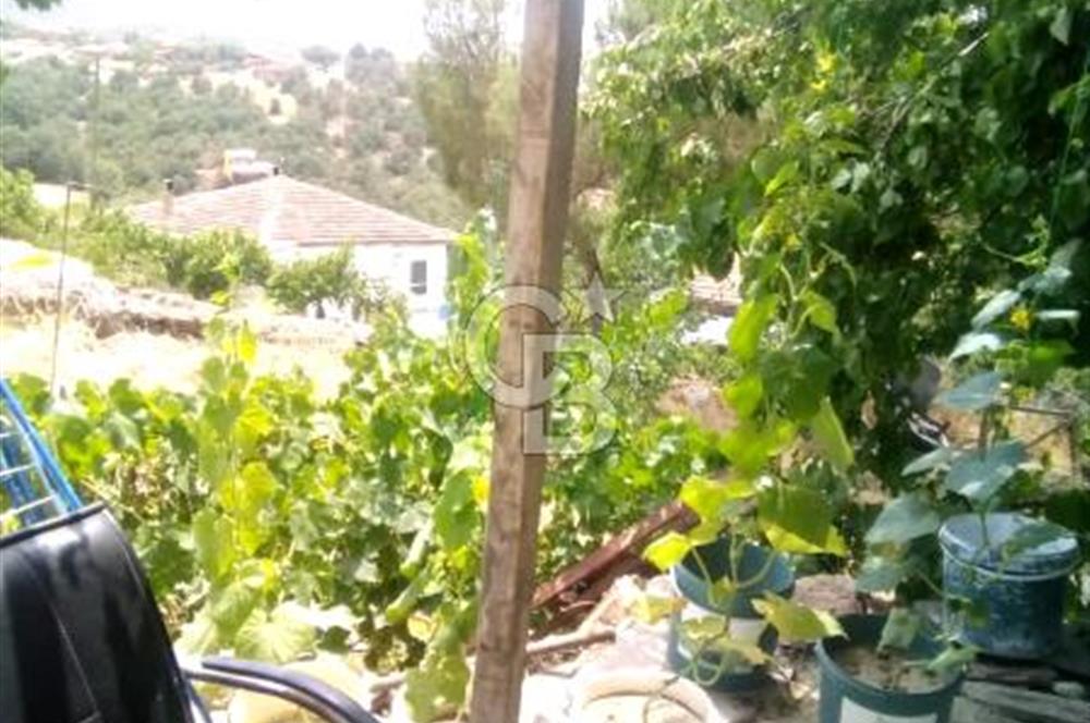 MANİSA KULA TATLIÇEŞME'DE GELENEKSEL YAŞAM VE YATIRIM FIRSATI