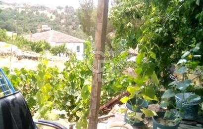 MANİSA KULA TATLIÇEŞME'DE GELENEKSEL YAŞAM VE YATIRIM FIRSATI