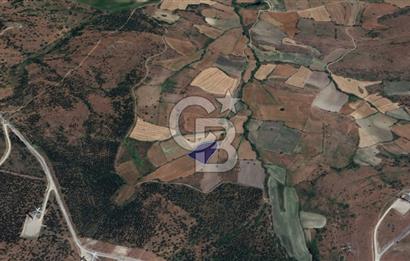 CB KİNG'DEN BALIKESİR/KÜRSE MAHALLESİ 6935m² SATILIK TARLA