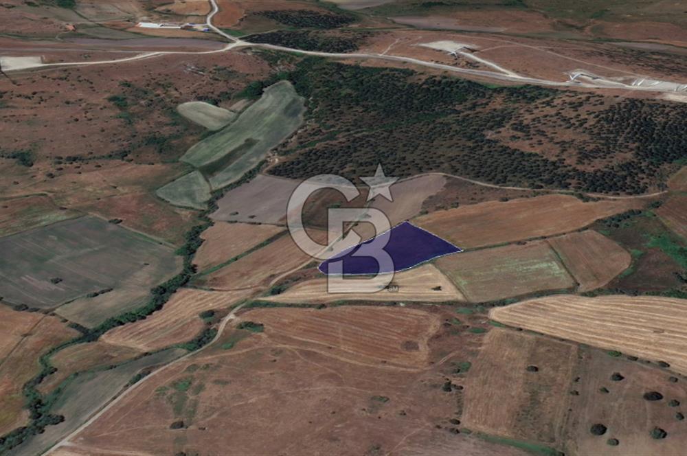 CB KİNG'DEN BALIKESİR/KÜRSE MAHALLESİ 6935m² SATILIK TARLA