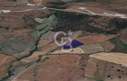 CB KİNG'DEN BALIKESİR/KÜRSE MAHALLESİ 6935m² SATILIK TARLA