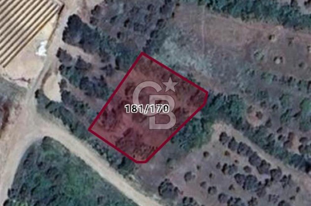 634 m² YATIRIMLIK ARSA BARAJ YOLU ÜZERİ