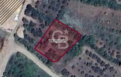 634 m² YATIRIMLIK ARSA BARAJ YOLU ÜZERİ