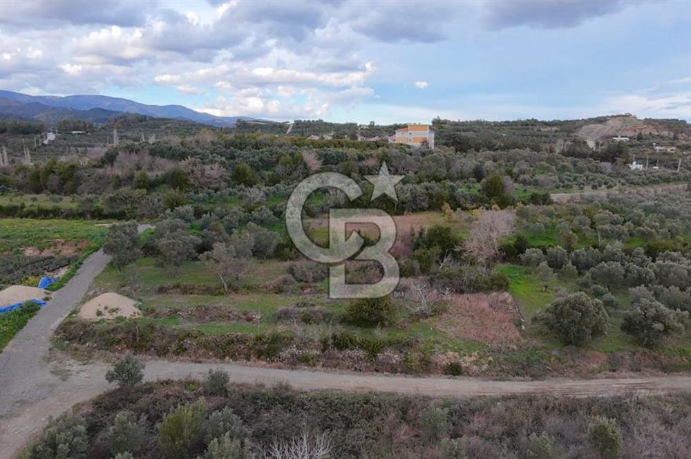 634 m² YATIRIMLIK ARSA BARAJ YOLU ÜZERİ